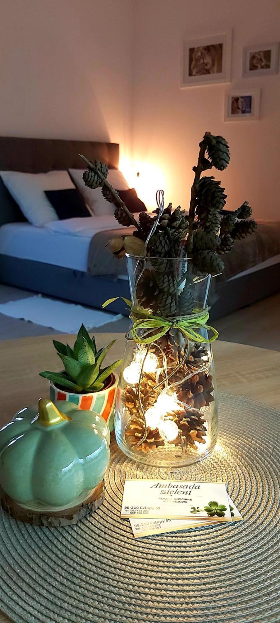 Apartment Ambasada Zieleni Uniejow